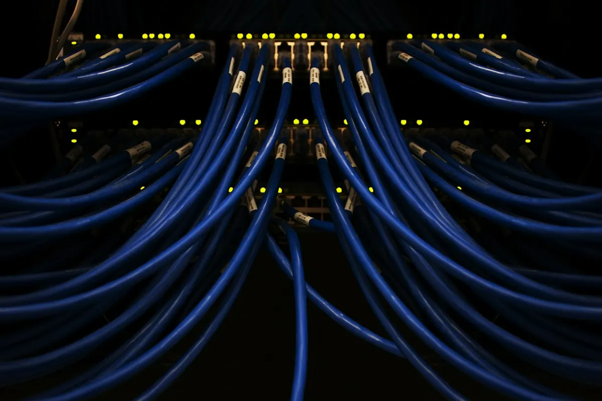 Cables de red conectados a equipos en un rack